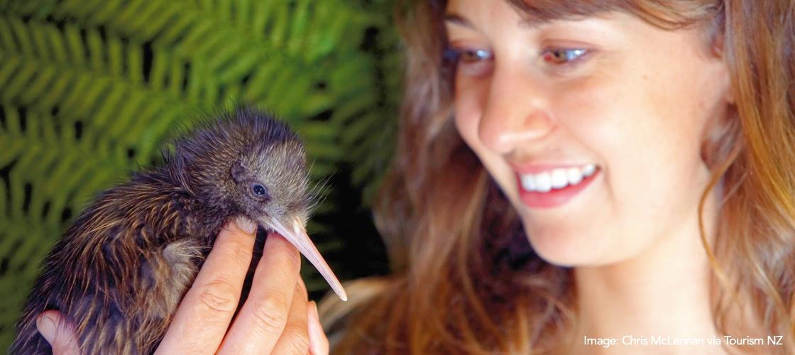 Kiwi Birdlife Park Queenstown Education Entertainment Nature and Wildlife Science Sport and Fitness Adventure Animals Brecon Street Queenstown NZ 9300