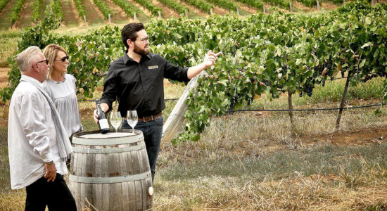 The Brokenwood Journey - Behind the Scenes Wine Experience