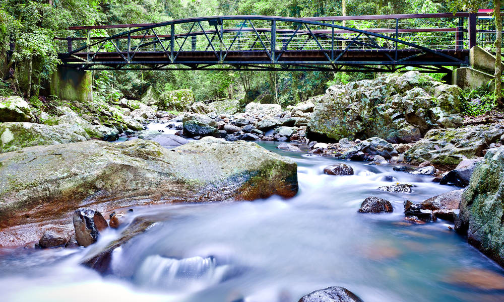 Natural Bridge Springbrook And Gold Coast Tour From Brisbane