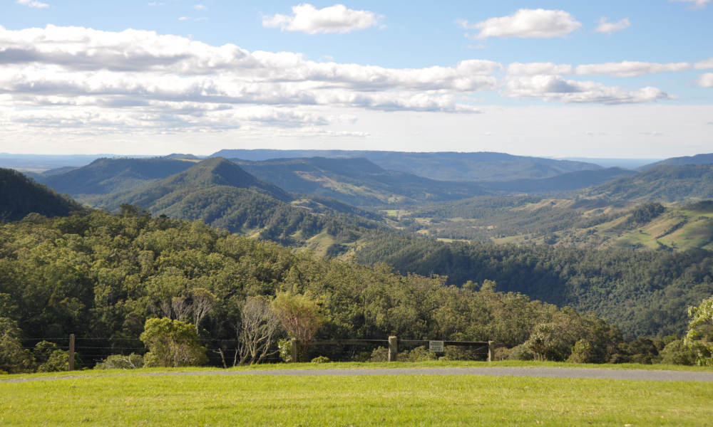 tamborine mountain day tour from brisbane