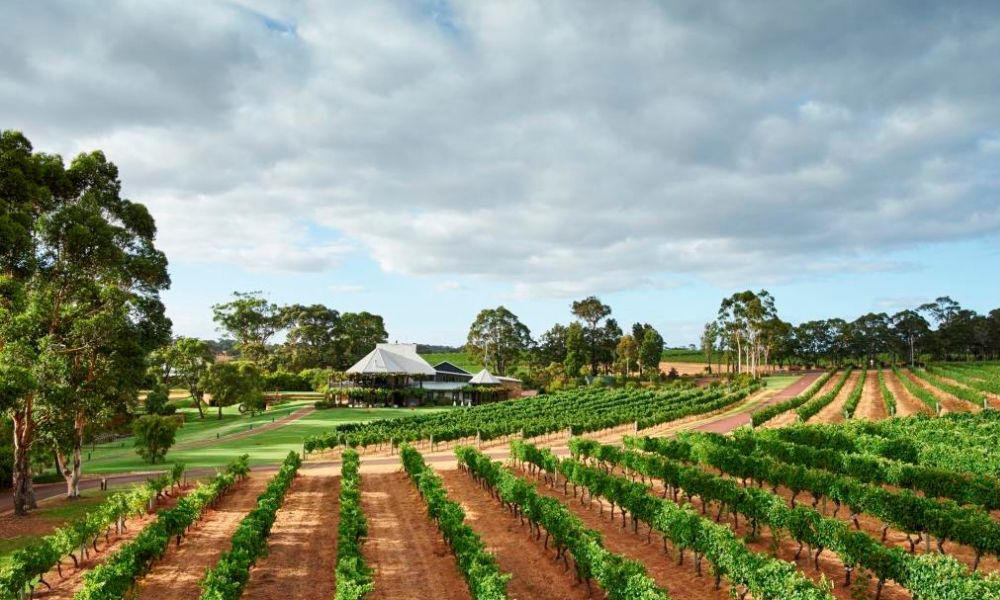 Vasse Felix Epicurean Tour in Margaret River with Lunch