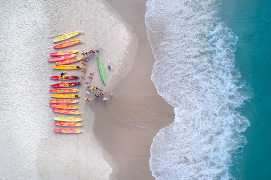Byron Bay Dolphin Kayaking Tour