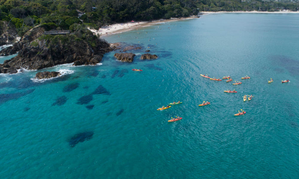 Byron Bay Dolphin Kayaking Tour