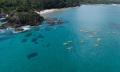 Byron Bay Dolphin Kayaking Tour Thumbnail 4