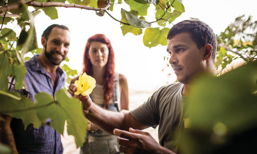 Half Day Morning Cultural Experience Of The Port Douglas Daintree Region