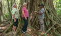 Full Day Private Ngana Julaymba Dungay Tour to Daintree River and Cape Tribulation Thumbnail 1