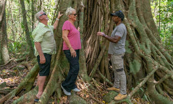 Half Day Private Cultural Experience Of The Port Douglas Daintree Region Thumbnail 2