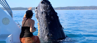 Hervey Bay Full Day Whale Watching Sailing Cruise including Lunch Thumbnail 2