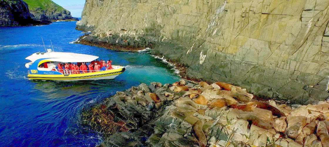 Wineglass Bay Cruises Including Vista Lounge With Lunch