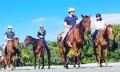Mid-Morning Beach Horse Ride Thumbnail 2