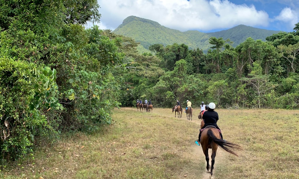 Mid-Morning Beach Horse Ride