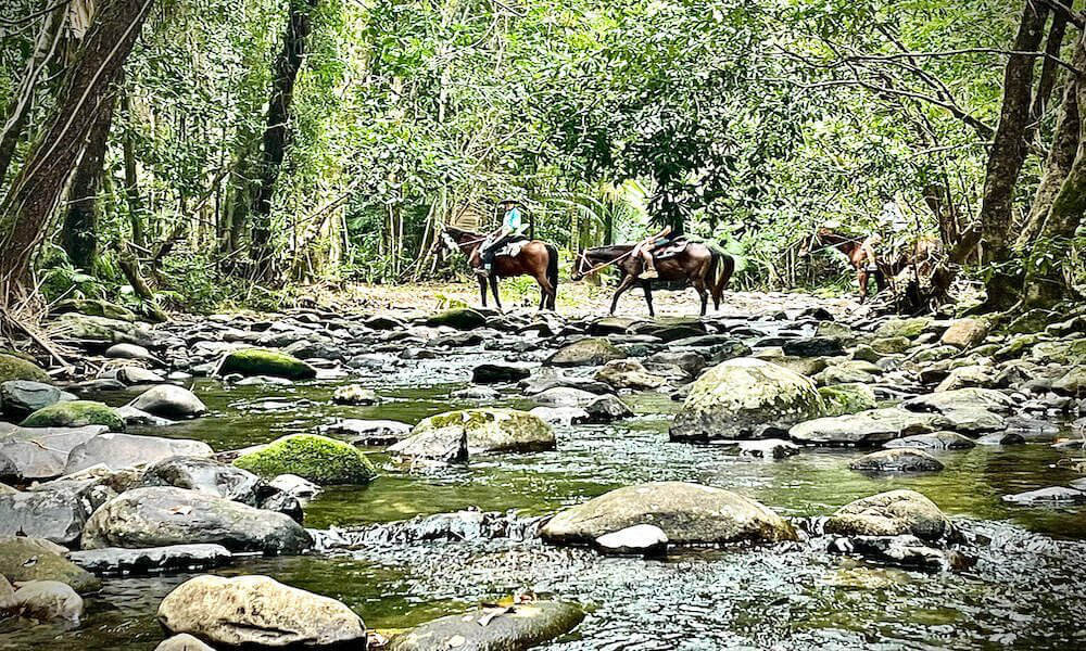 Afternoon Beach Horse Ride