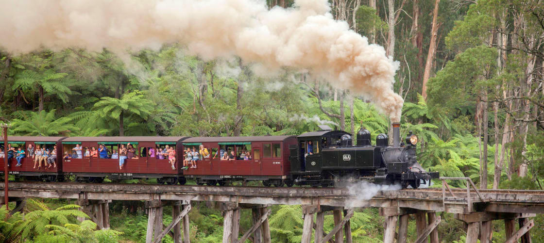 Puffing Billy, Moonlit Sanctuary and Penguins Day Tour