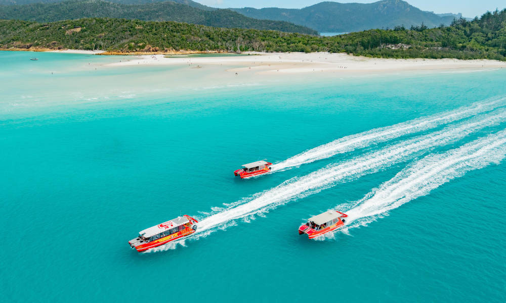 Full Day Whitsundays Speedboat Tour 350 Shute Harbour Rd Airlie Beach QLD 4802