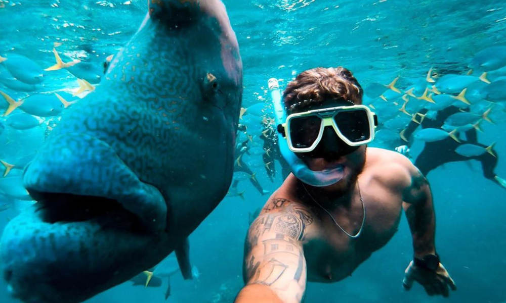 Full Day Whitsundays Speedboat Tour