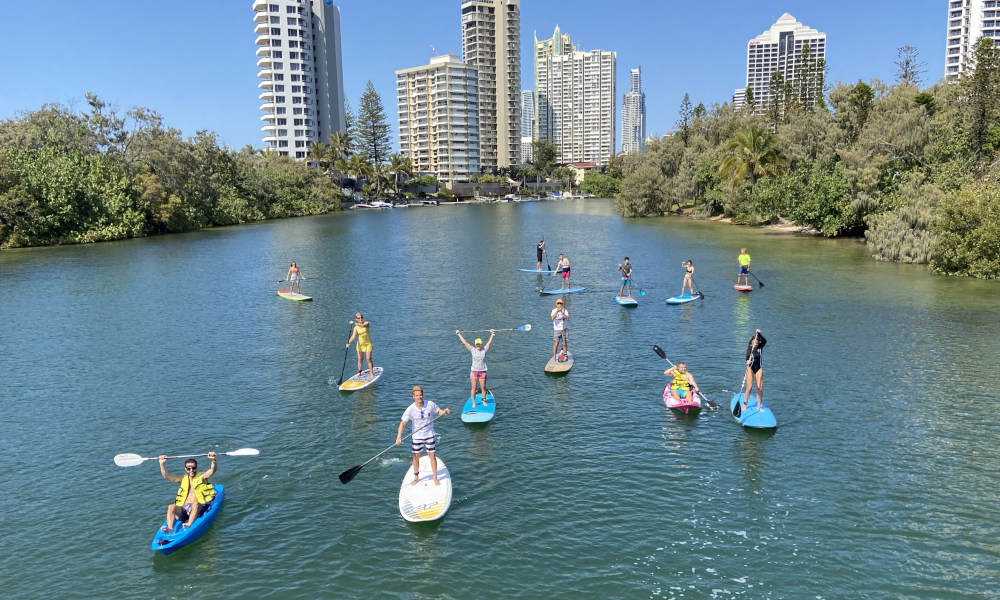 90 Minute Twilight Stand Up Paddle Board Tour Nature and Wildlife Sport and Fitness Adventure Animals 19 River Drive Surfers Paradise QLD 4217