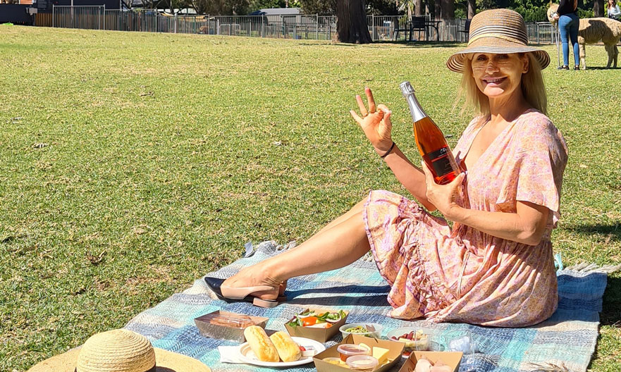 Canungra Valley Vineyards and Alpaca Farm Half Day Tour