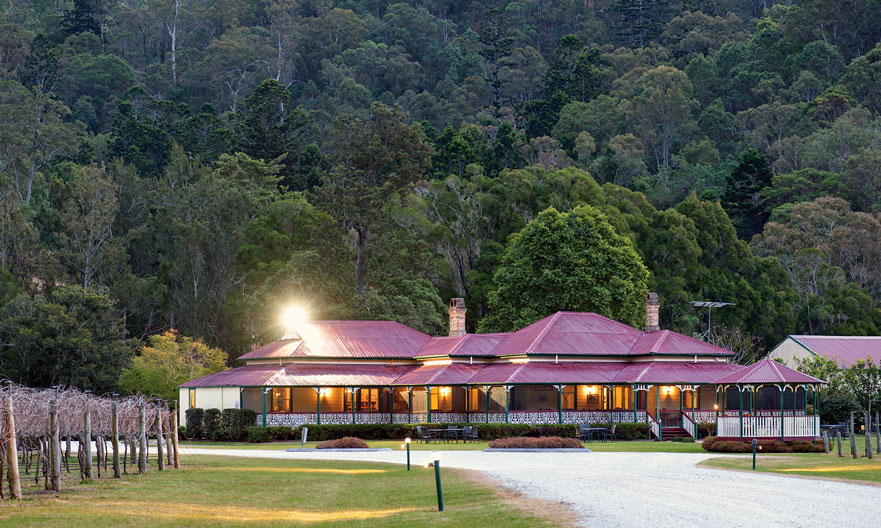 Canungra Valley Vineyards and Alpaca Farm Half Day Tour