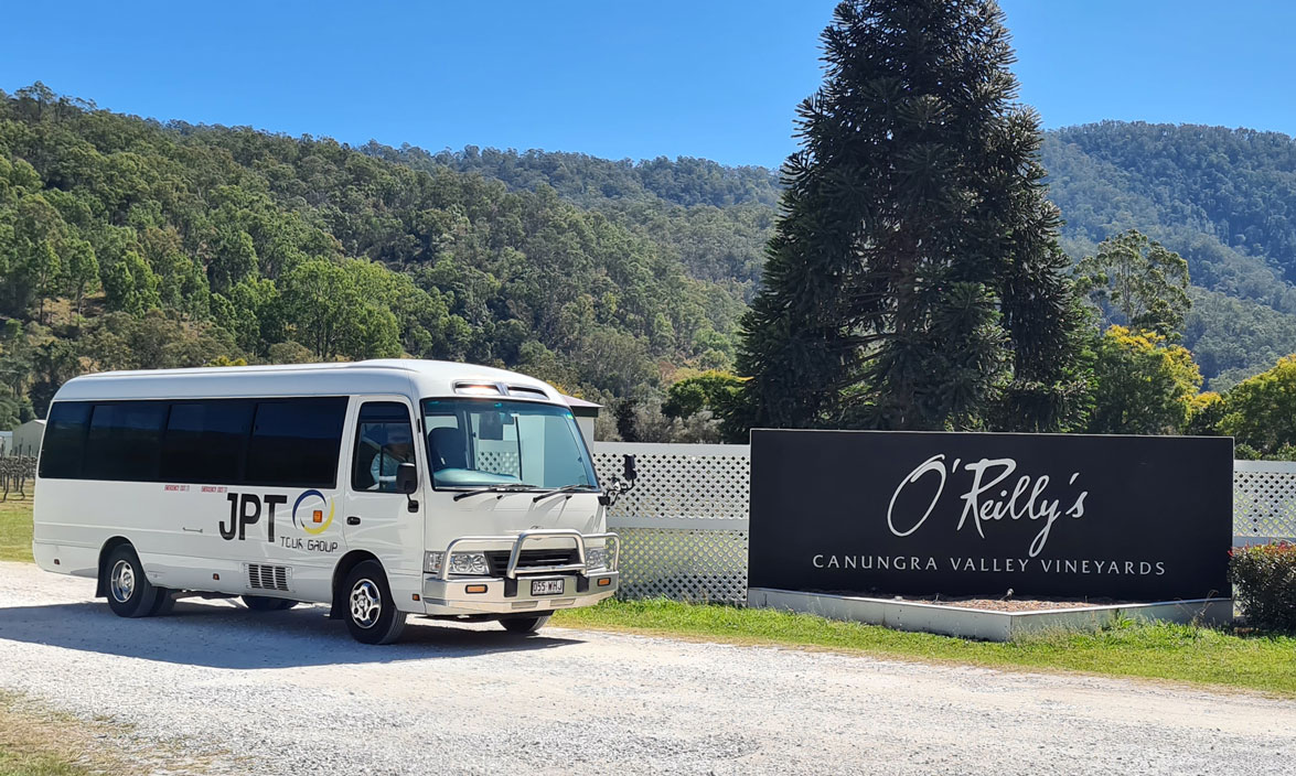 Canungra Valley Vineyards and Alpaca Farm Half Day Tour