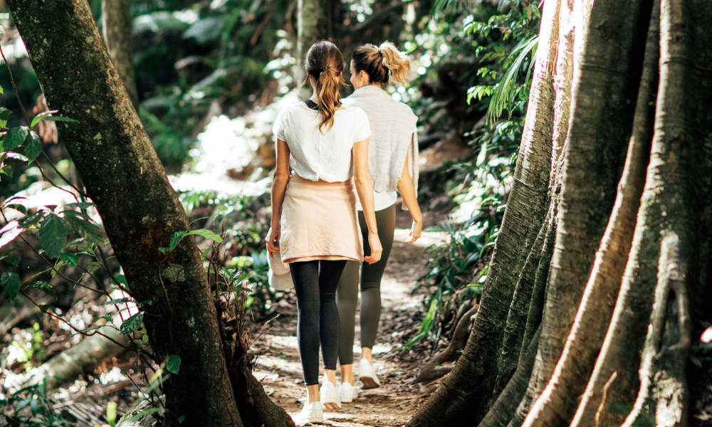 Mt Tamborine Rainforest Walk Half Day Tour