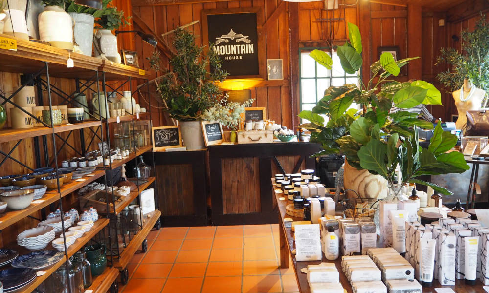 Mt Tamborine Rainforest Walk Half Day Tour