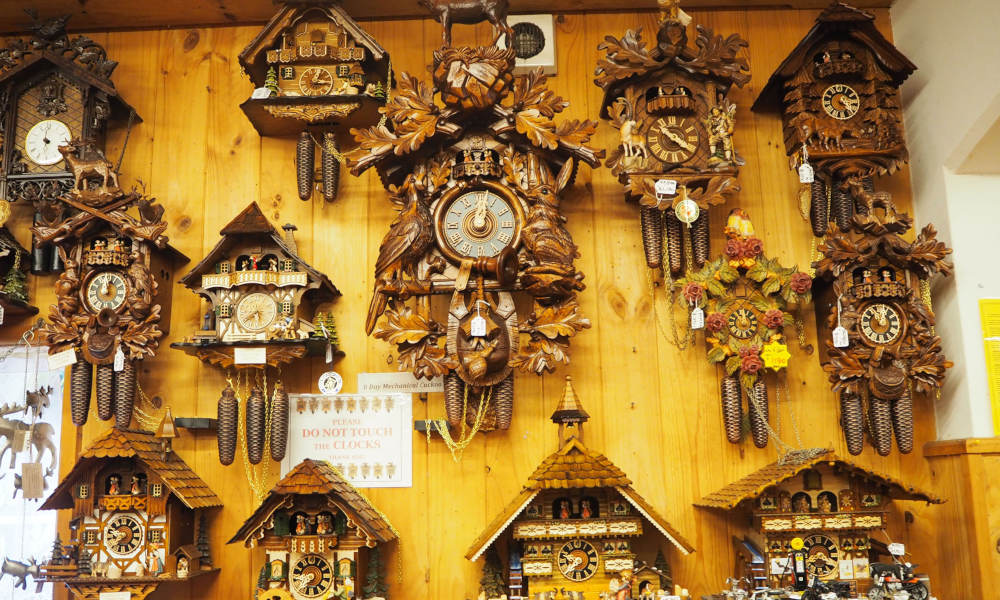 Mt Tamborine Rainforest Walk Half Day Tour