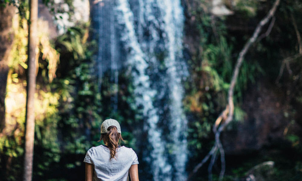 Mt Tamborine Rainforest Walk Half Day Tour