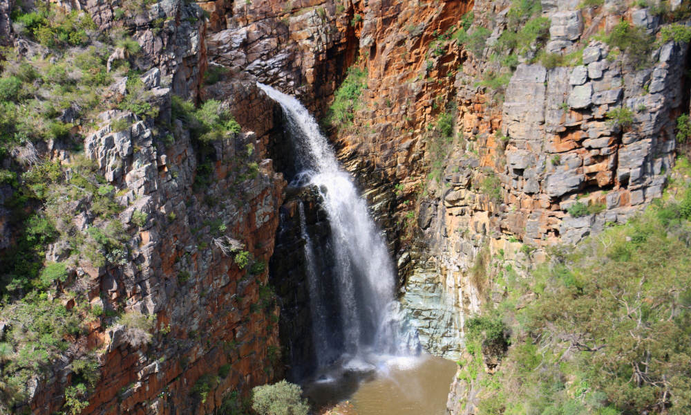 Morialta Wilderness and Wildlife Hike