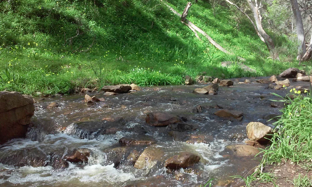 Adelaide City and Parks Bike Tour