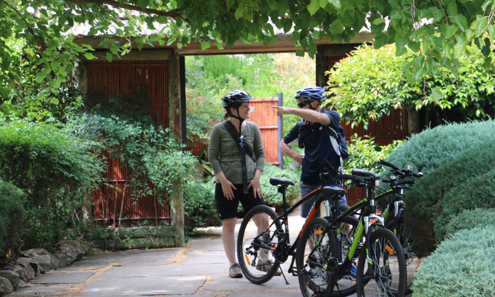 Adelaide City and Parks Bike Tour