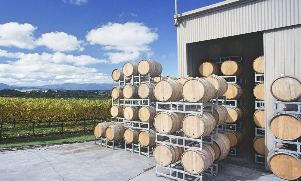 Yarra Valley Private Car Winery Tour with Chocolate Tasting and Lunch