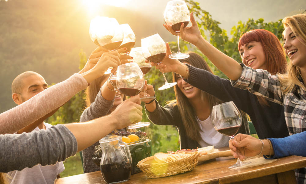 Yarra Valley Private Car Winery Tour with Chocolate Tasting and Lunch