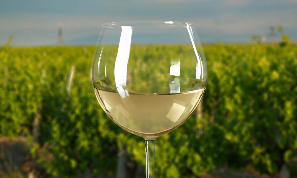 Yarra Valley Private Car Winery Tour with Chocolate Tasting and Lunch