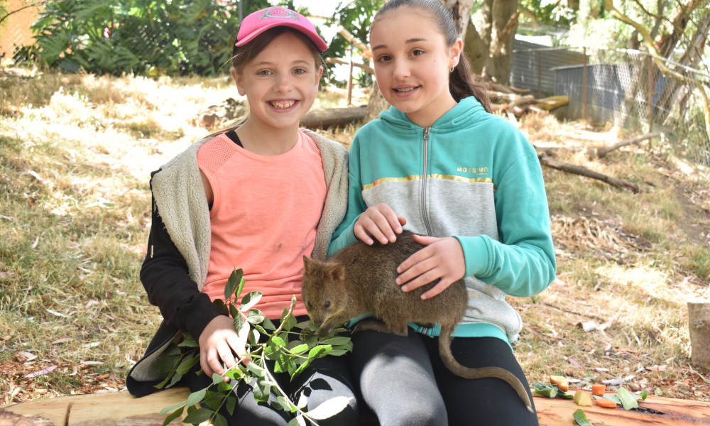 Gorge Wildlife Park General Admission Tickets