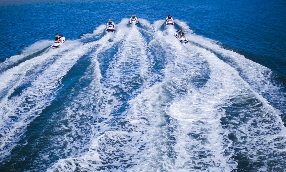 Jet Ski Safari The Ultimate Adventure - 2.5 Hours
