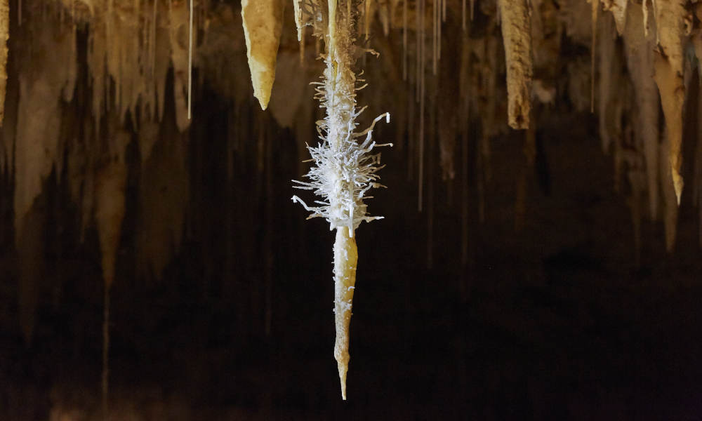 Jewel Cave Guided Tour