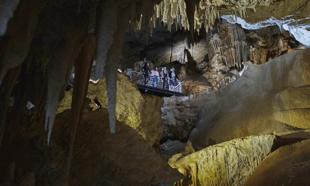 Jewel Cave Guided Tour