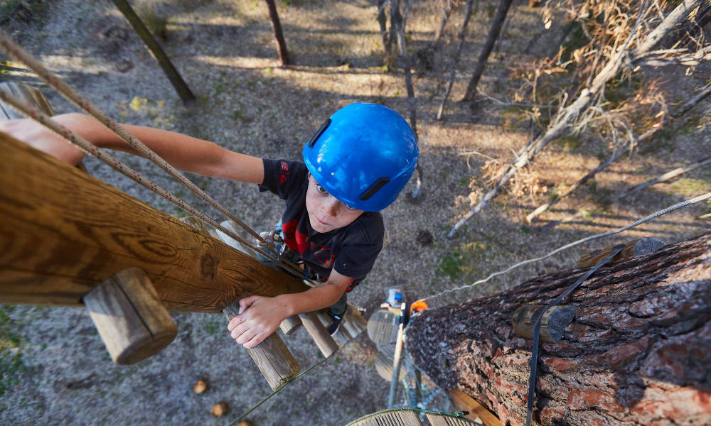 Forest Adventures South West Park Entry