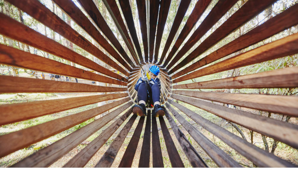 Forest Adventures South West Park Entry