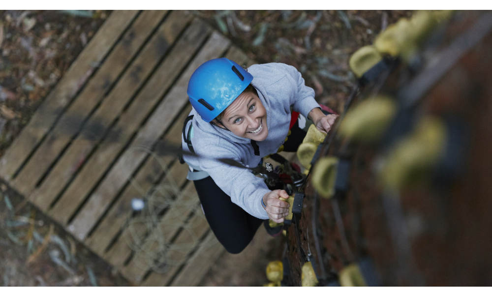 Forest Adventures South West Park Entry