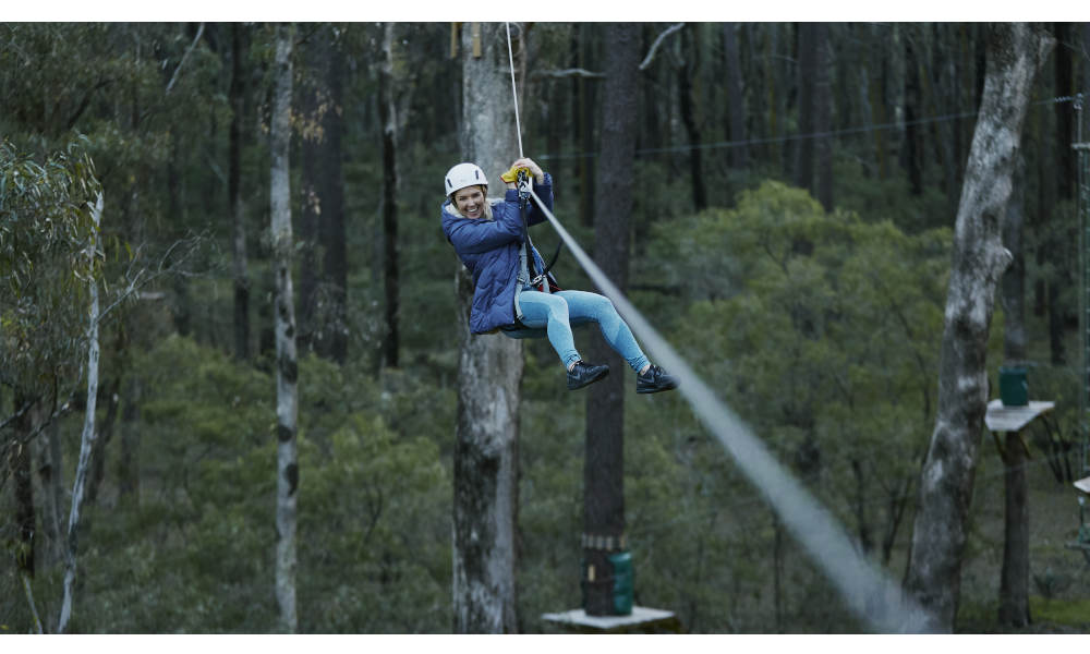 Forest Adventures South West Park Entry
