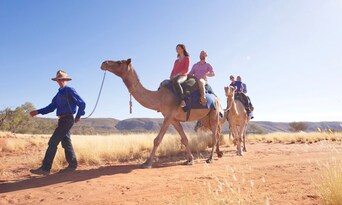 Alice Springs Afternoon Camel Ride Thumbnail 5