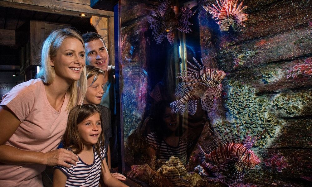 SEA LIFE Sunshine Coast + Aquaduck Combo