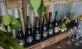 Printhie Wines Picnic And Guided Wine Tasting Tour Thumbnail 2