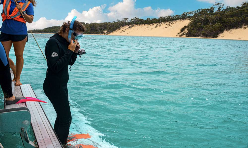 Best Of Moreton Bay 3 Island Safari Day Tour