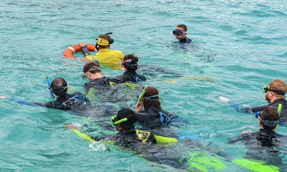 Best Of Moreton Bay 3 Island Safari Day Tour