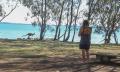 Best of Moreton Bay Cruise with Snorkelling and Lunch Thumbnail 6