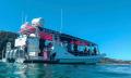 Best of Moreton Bay Cruise with Snorkelling and Lunch Thumbnail 2
