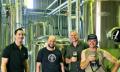 Cairns Brewery and Distillery Tour Thumbnail 2