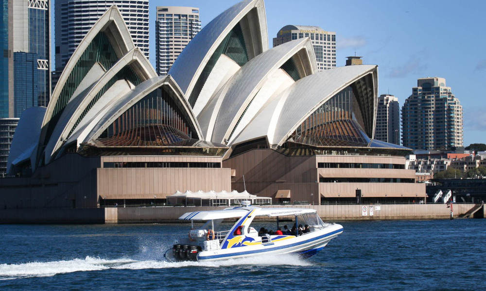 Sydney 2 Hour Whale Watching Adventure Cruise